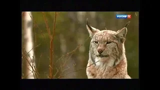 Норвегия. Долгое утро после полярной ночи.