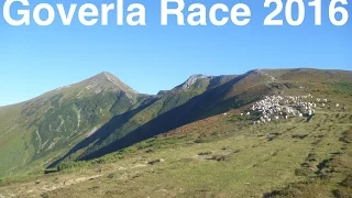Goverla Race 2016