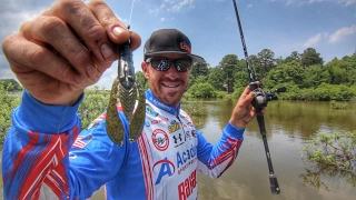 How to Find and Catch Bass in Flooded Bushes