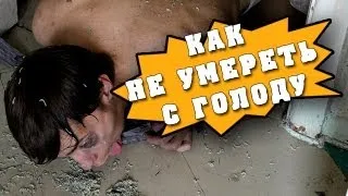 Как не умереть с голоду