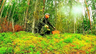 Грибник ушёл в лес, но он даже представить себе не мог, что ожидало его впереди...