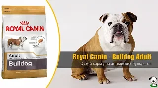 Корм для взрослых собак породы английский бульдог · Royal Canin Bulldog Adult
