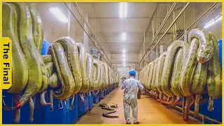 90 Satisfying Videos Modern Food Technology Processing Machines | Food Processing Machines