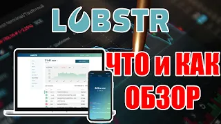 LOBSTR КОШЕЛЕК БИРЖА! КАКАЯ ОПАСНОСТЬ? Пассивный заработок. НЕ RIPPLE XRP НО ТОЖЕ ИНТЕРЕСНО!