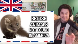 American Reacts British Animals You Won't Find in America - Anglophenia Ep 27