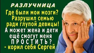 РАЗЛУЧНИЦА 11. «Где были мои мозги А может жена сможет ПРОСТИТЬ меня» - корил себя Сергей