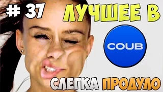 Лучшее в COUB за неделю Июнь 2015 | Best COUB #37