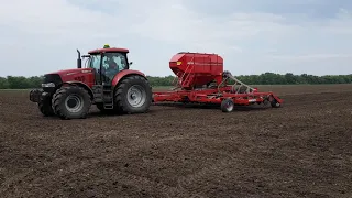 Puma 210 + Horsch Pronto NT 8 посів ріпаку