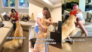 Dog Gets Jealous When His Brothers Hug Their Girlfriends