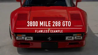 Test Driving the Holy Grail Ferrari 288 GTO!