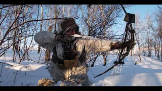 WILD BOAR BOWHUNTING in the Snow- Spot N Stalk