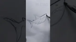 Como dibujar un tiburon (facil) #shorts