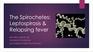 The Spirochetes: Leptospirosis and Relapsing Fever -- Richard L Oehler, MD