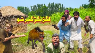 Lagar bagar video | lagar bagar Pashto funny video 2022 | Khan Vines