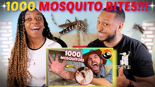 Brave Wilderness "Bitten by 1000 Deadly Mosquitoes!" REACTION!!!