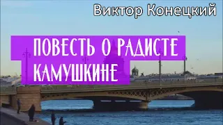 ПОВЕСТЬ О РАДИСТЕ КАМУШКИНE / Виктор Конецкий / Аудиокнига