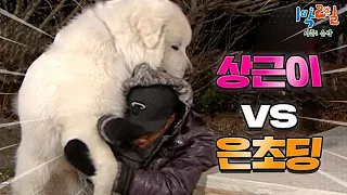 죽고 못 사는 은초딩과 상근이의 서열정리, 그 결과는?🐶 평상만 있어도 판을 만드는 멤버들😤 이 악물고 야외취침 복불복🍂 [1박2일 순삭 #27-2] | KBS 080203 방송