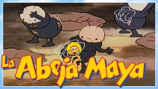 La abeja Maya - episodio 45 - hormiga que queria jugar - capitulos completos en español latino