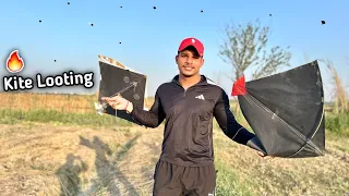 I Am Looted Kites In Ground | Kite Catching | Kites Vlog |