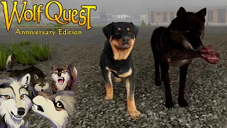 Glitched Rottweiler Dog in Lost River DLC WolfQuest 3 Anniversary Edition Episode #198 (v1.0.9h)