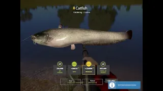 Russian fishing 4 Catfish trophy