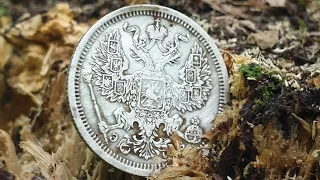 Кошель монет под старым пнём