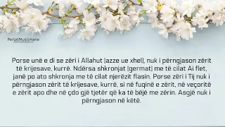 Allahu flet por mënyra sesi flet është e panjohur për ne - Uthejmin