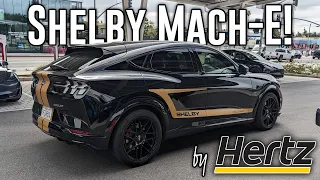 Shelby Mustang Mach-E GT! Rent it from Hertz!