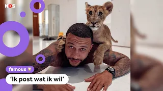 Memphis Depay reageert op kritiek op foto met lijger