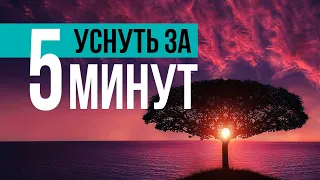 Перед сном послушайте эту музыку и уснете за 5 минут