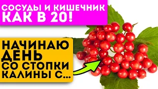 Советы от прабабки! Ни разу не была в больнице! Для ЖКТ, легких, сердца и даже…