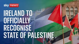 Ireland have officially recognised Palestine as a separate state