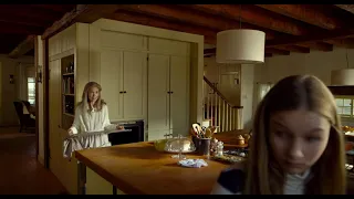 The Visit 2015 - Can you clean the oven from inside?