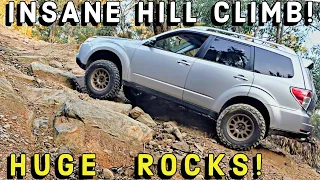 Crazy Steep Hill Climb! Rutted and rocky offroad tracks Subaru Forester XT on pine plantation trails