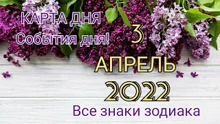 КАРТА ДНЯ 🦋 3 апреля 2022 🦋 Гороскоп для всех знаков зодиака #таро #картадня