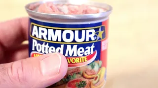 Dollar Store Armour Potted Meat Food Review