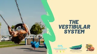 The Vestibular System - A Kinderkinetics Focus Area