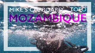 Scuba diving Tofo, Mozambique