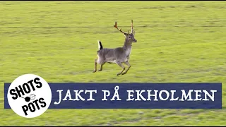 DREVJAKT I JULETID - Lubbe är på klövviltsjakt nät det lider emot jul