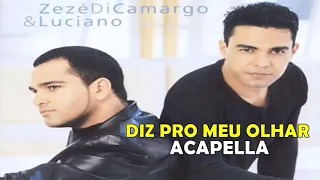 DIZ PRO MEU OLHAR - ZEZÉ DI CAMARGO E LUCIANO 2001 / ACAPELLA