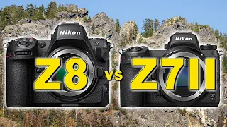 Nikon Z8 vs Nikon Z7 II - Image Quality Review