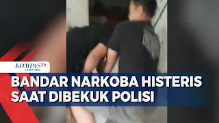 Bandar Narkoba Histeris saat Dibekuk Polisi