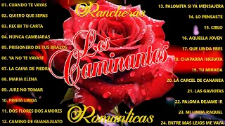 Los Caminantes 30 Rancheras Romanticas Perronas Éxitos - Los Caminantes Mix Románticas Inolvidables