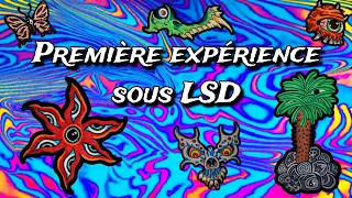 Première Expérience au LSD (Trip Report)