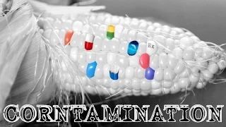 Corntamination: Edible GMO Hepatitis B Vaccines Coming Soon!