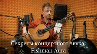 ДиДюЛя - "Секреты концертного звука". Fishman Aura