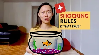 Shocking Swiss Rules for a Malaysian Living in Switzerland