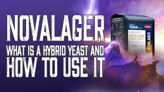 NovaLager - New Hybrid Yeast Technical Breakdown and Brewing Tips
