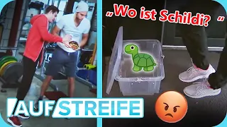 "Was habt ihr mit der SCHILDKRÖTE gemacht?!" 🐢😡​​ Quälerei im Fitnessstudio! | Auf Streife | SAT.1