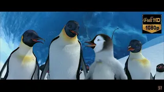 Happy Feet - I think we'd better dance now-we are messing with their food chain-the love you make